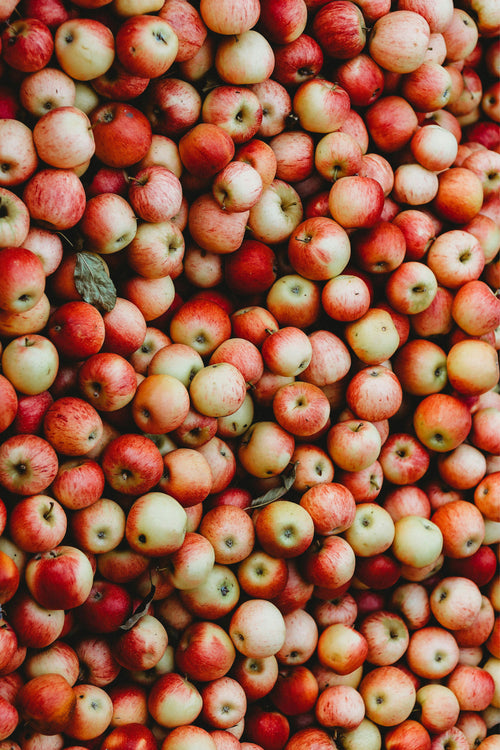 Amasya Elma Çayı (1 kg)